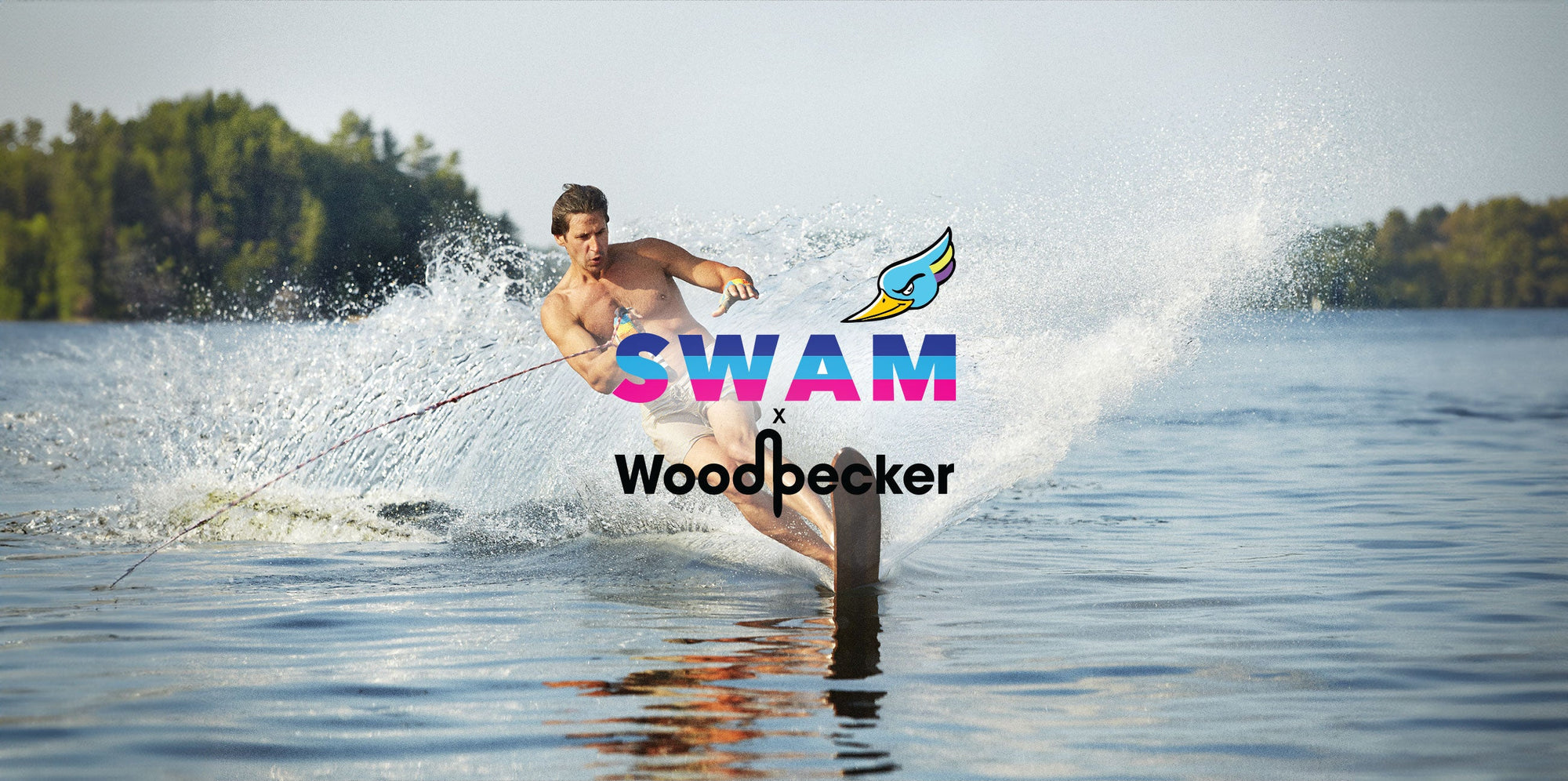 Swam X Woodpecker