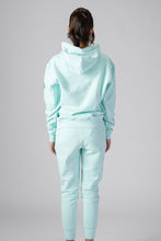 Load image into Gallery viewer, Woodpecker Unisex Cotton Sweatsuit, Mint Colour, Woodpecker, Coat, Moose, Knuckles, Canada, Goose, Mackage, Montcler, Will, Poho, Willbird, Nic, Bayley. Super cozy casual for home or activewear.
